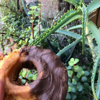 Donut drink