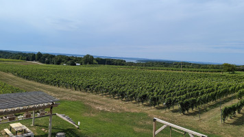Bonobo Winery outside
