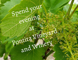 Pontita Vineyard And Winery drink