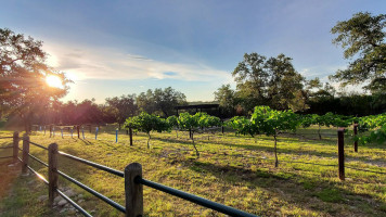 Pontita Vineyard And Winery outside