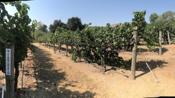 Artesa Vineyards Winery outside
