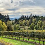 Jimmy John's Exterior