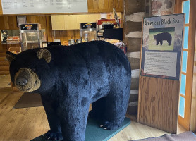Timberline Cafe inside