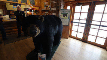 Timberline Cafe drink