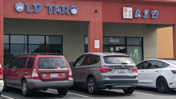 Old Taro outside