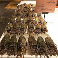 Truluck's Ocean's Finest Seafood And Crab food