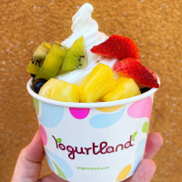 Yogurtland Cerritos drink