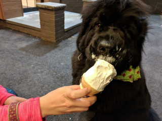Dairy Queen
