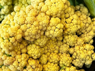 Evanston Farmers Market