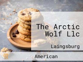 The Arctic Wolf Llc