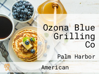 Ozona Blue Grilling Co