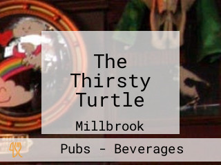 The Thirsty Turtle