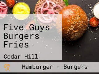 Five Guys Burgers Fries