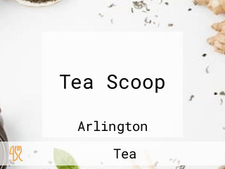 Tea Scoop