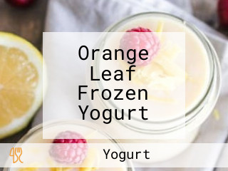 Orange Leaf Frozen Yogurt