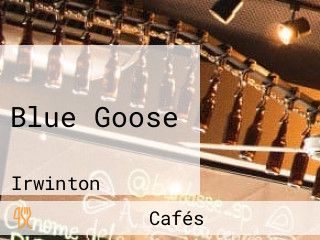 Blue Goose