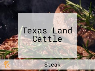 Texas Land Cattle