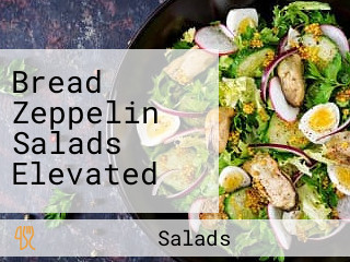 Bread Zeppelin Salads Elevated