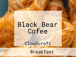 Black Bear Cofee