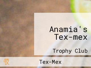 Anamia's Tex-mex