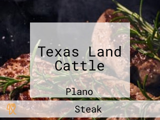 Texas Land Cattle