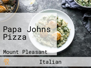 Papa Johns Pizza