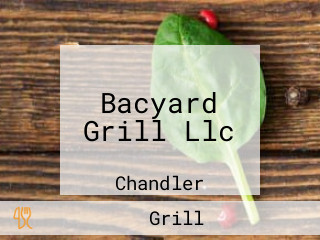 Bacyard Grill Llc