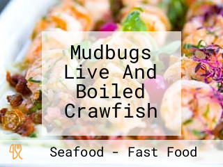 Mudbugs Live And Boiled Crawfish