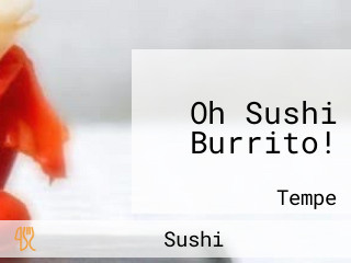 Oh Sushi Burrito!