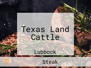 Texas Land Cattle