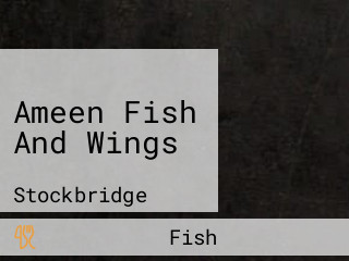 Ameen Fish And Wings