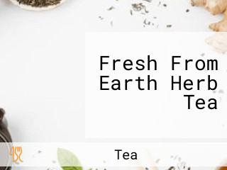 Fresh From Earth Herb Tea