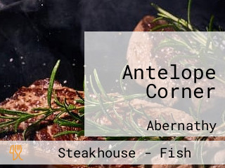 Antelope Corner