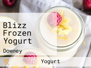 Blizz Frozen Yogurt