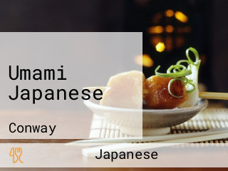 Umami Japanese