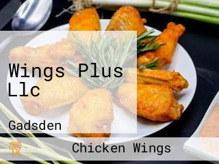 Wings Plus Llc