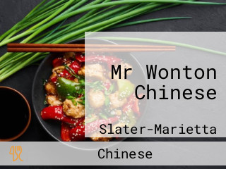 Mr Wonton Chinese