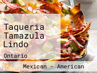 Taqueria Tamazula Lindo