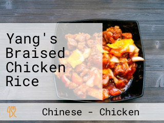 Yang's Braised Chicken Rice