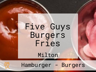 Five Guys Burgers Fries