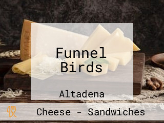 Funnel Birds