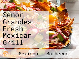 Senor Grandes Fresh Mexican Grill