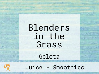 Blenders in the Grass