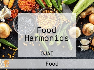 Food Harmonics