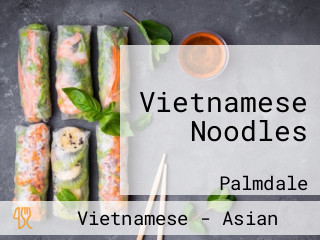 Vietnamese Noodles