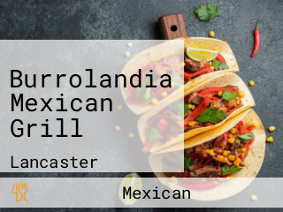 Burrolandia Mexican Grill