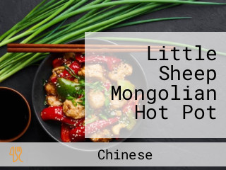 Little Sheep Mongolian Hot Pot