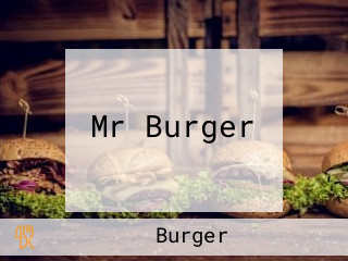 Mr Burger