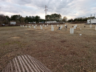 Longhollow Gamefowl Farm.of Alabama.