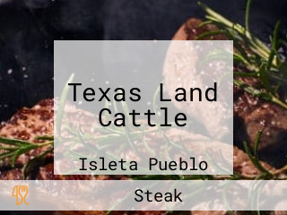 Texas Land Cattle